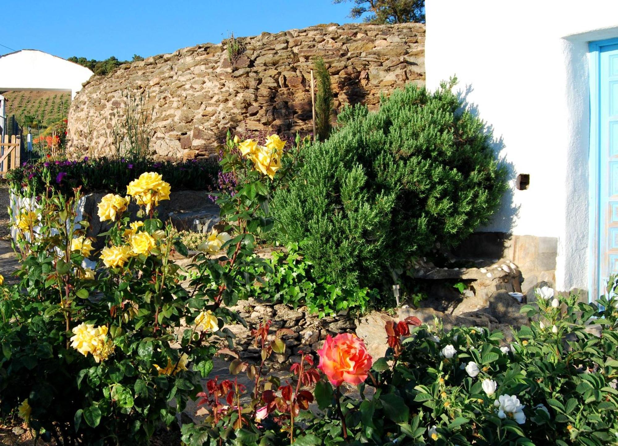 Cortijo Los Maximos Turon Exterior foto